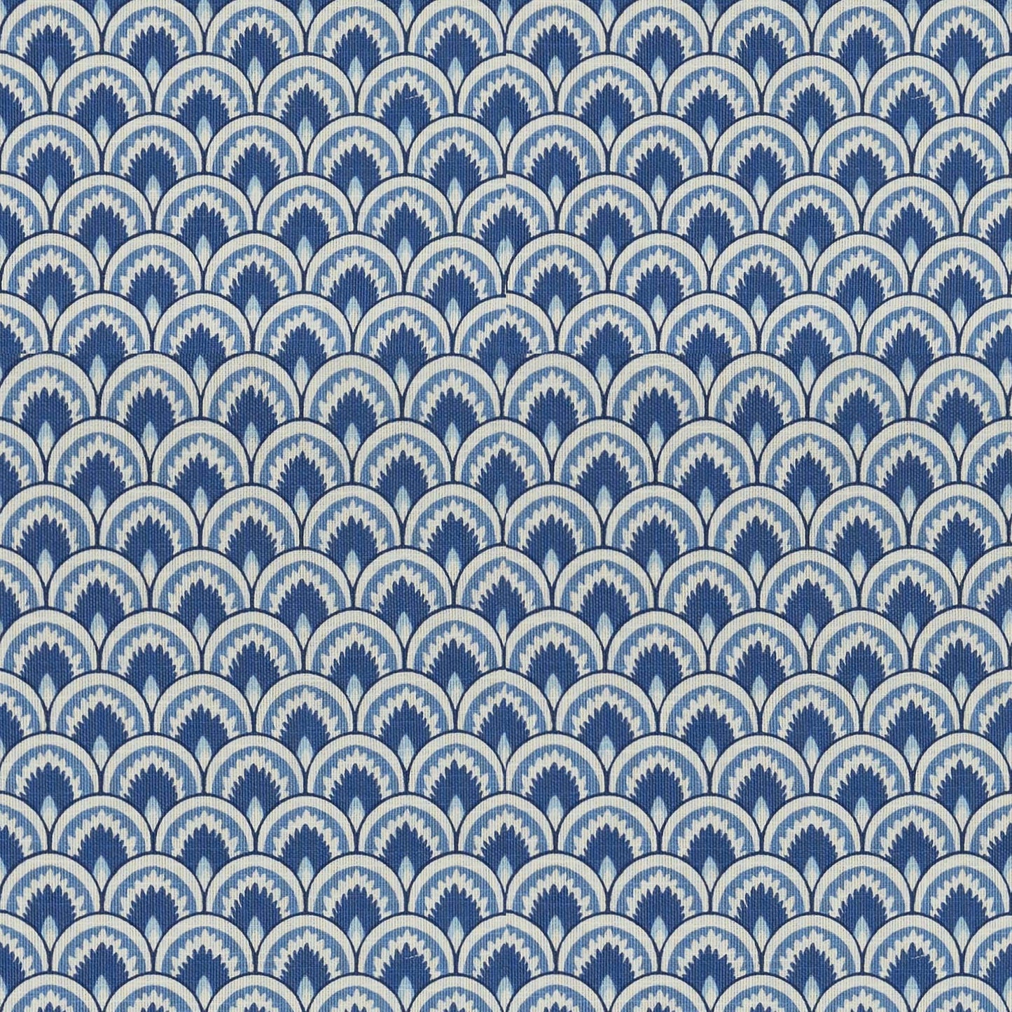 Jeneva (Fc) - Jaclyn Smith - French Blue