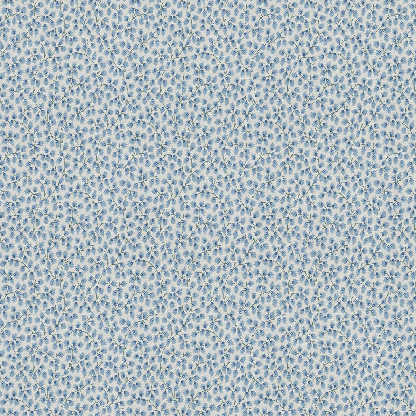Keefe (Fc) - Jaclyn Smith - French Blue