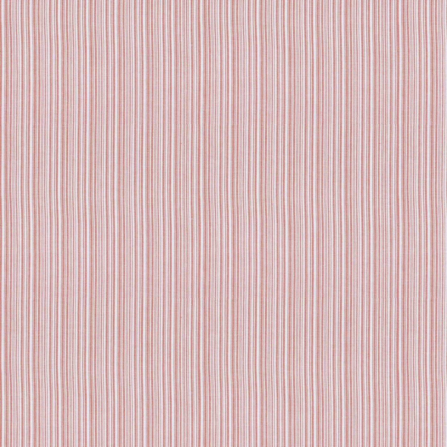 Veronia (Fc) - Jaclyn Smith - Peony