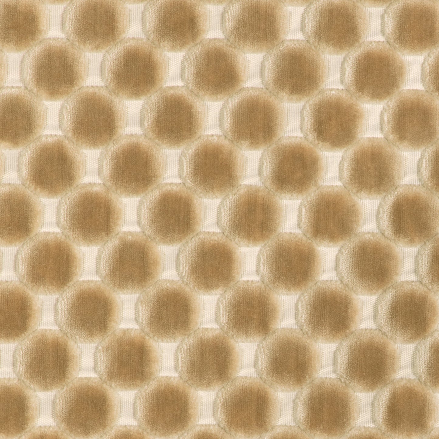 Darling (Kc) - 1116 Linen