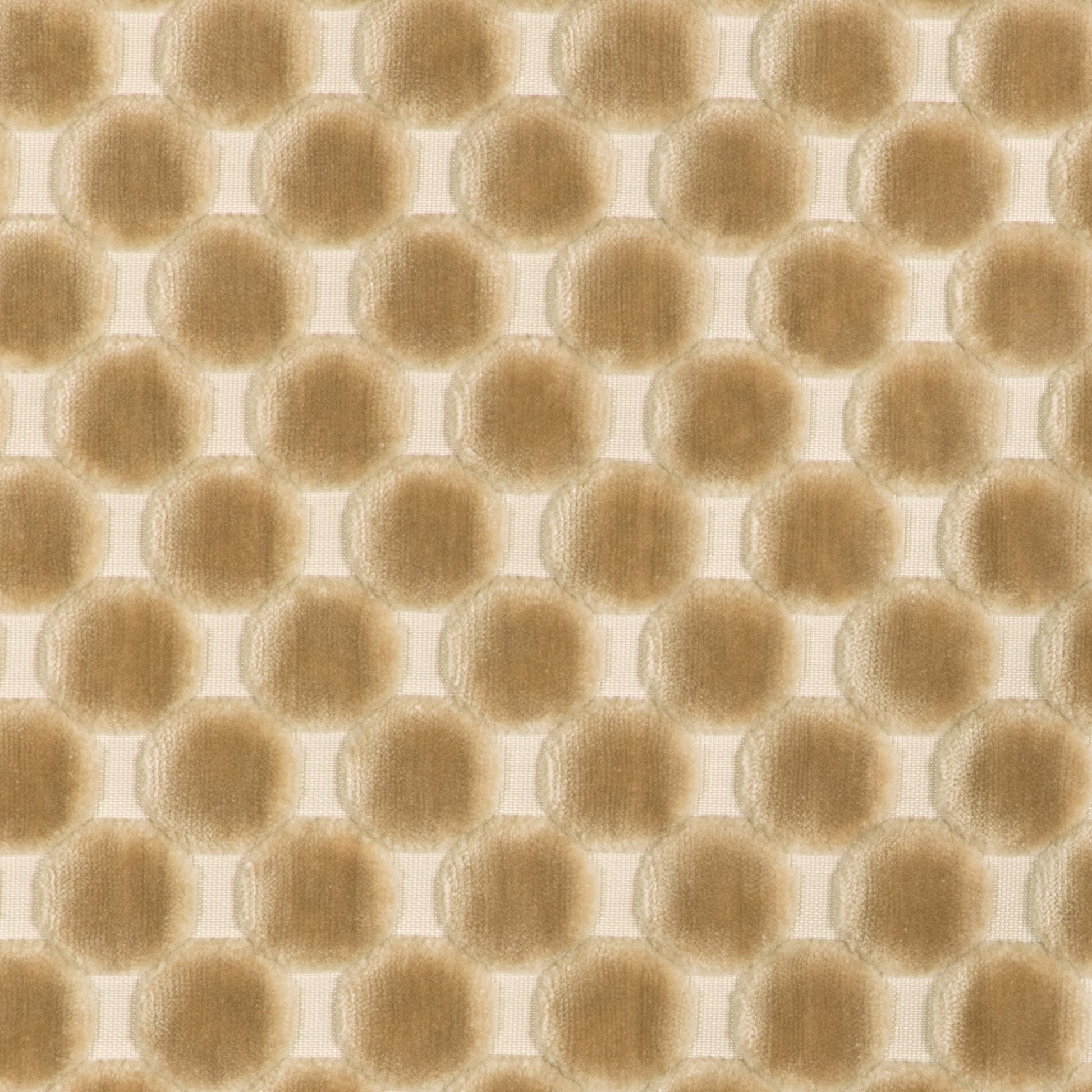 Darling (Kc) - 1116 Linen