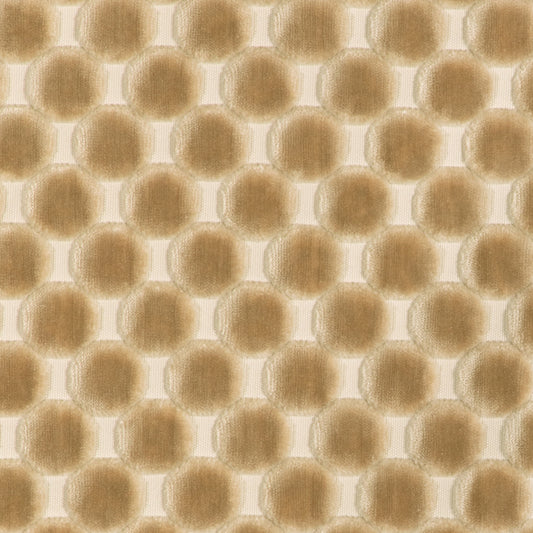 Darling (Kc) - 1116 Linen