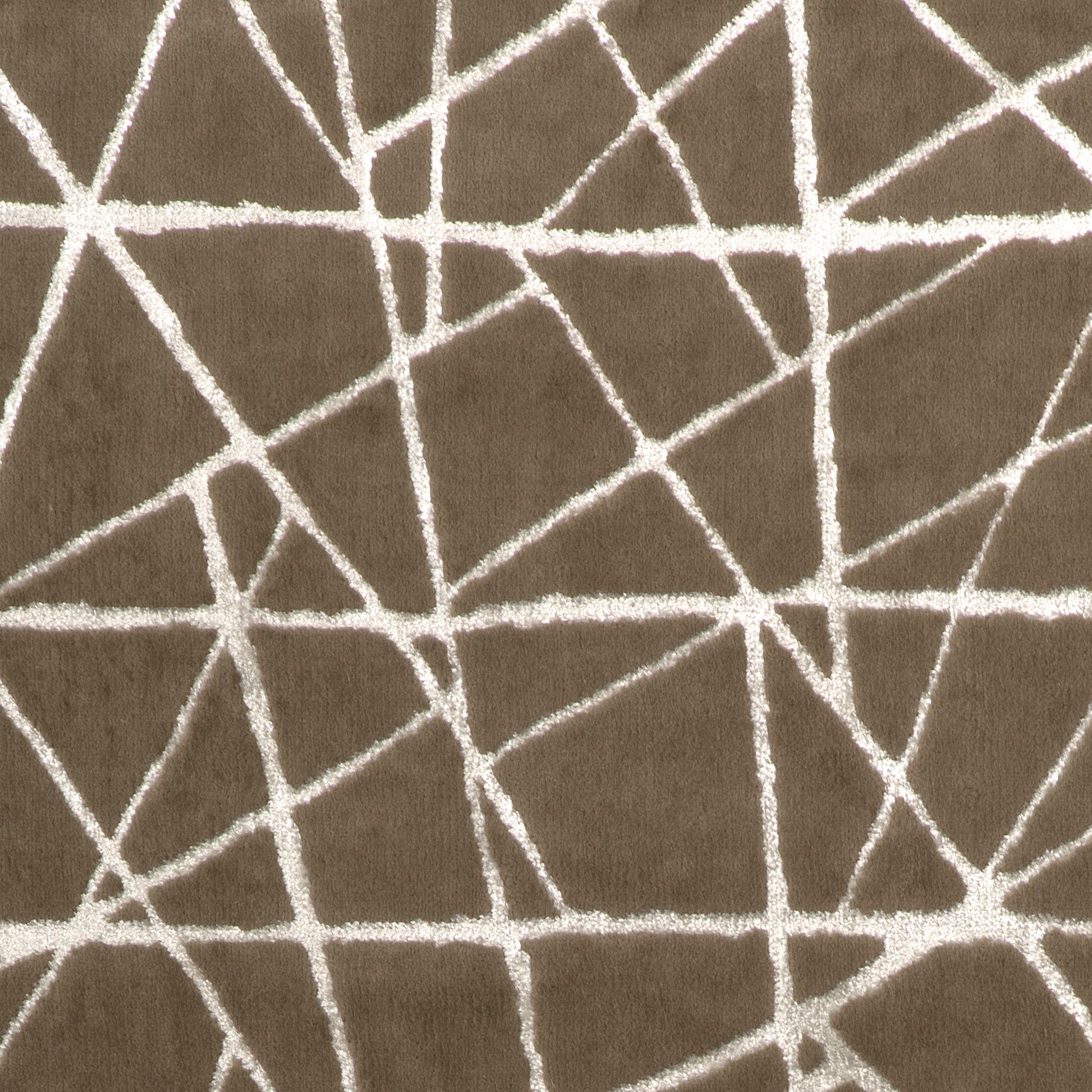 Demontrer (Kc) - 106 Taupe