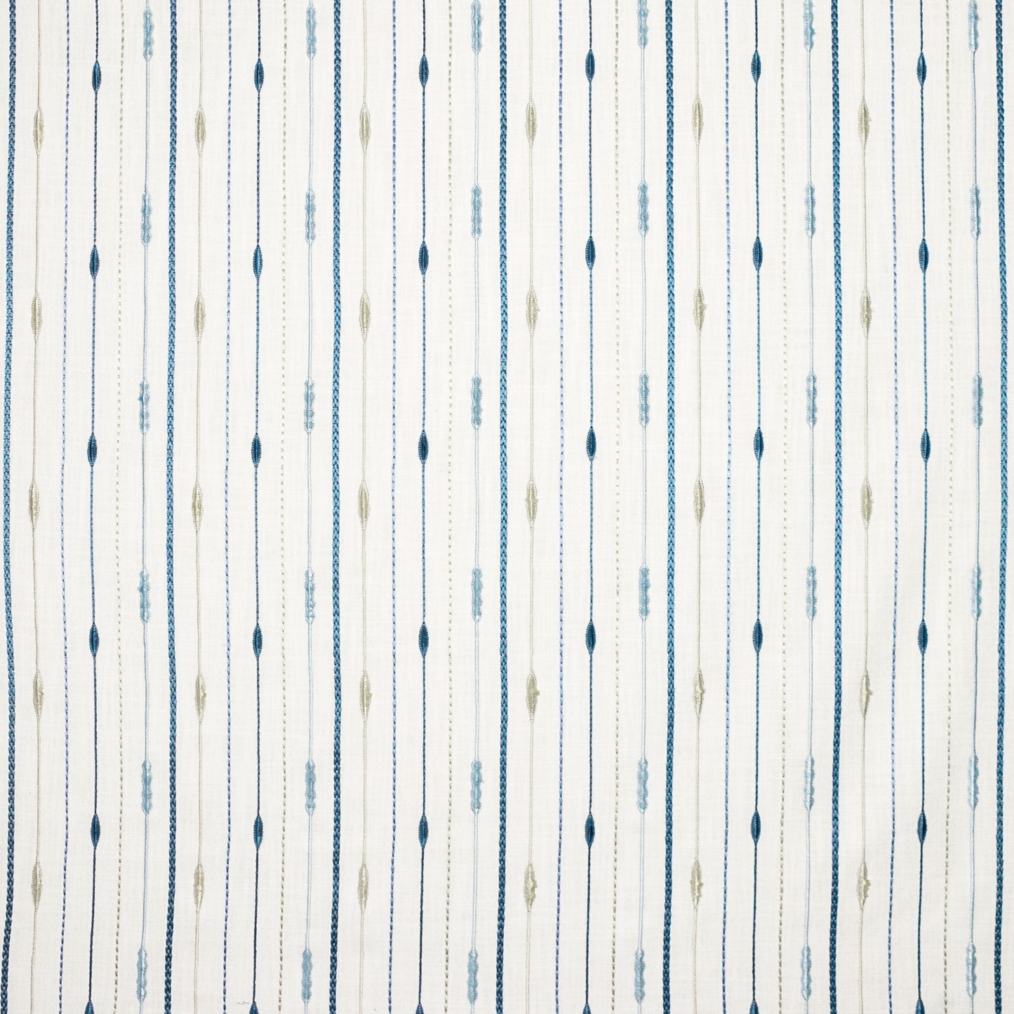 Dictatrice (Kc) - 15 Bluejay