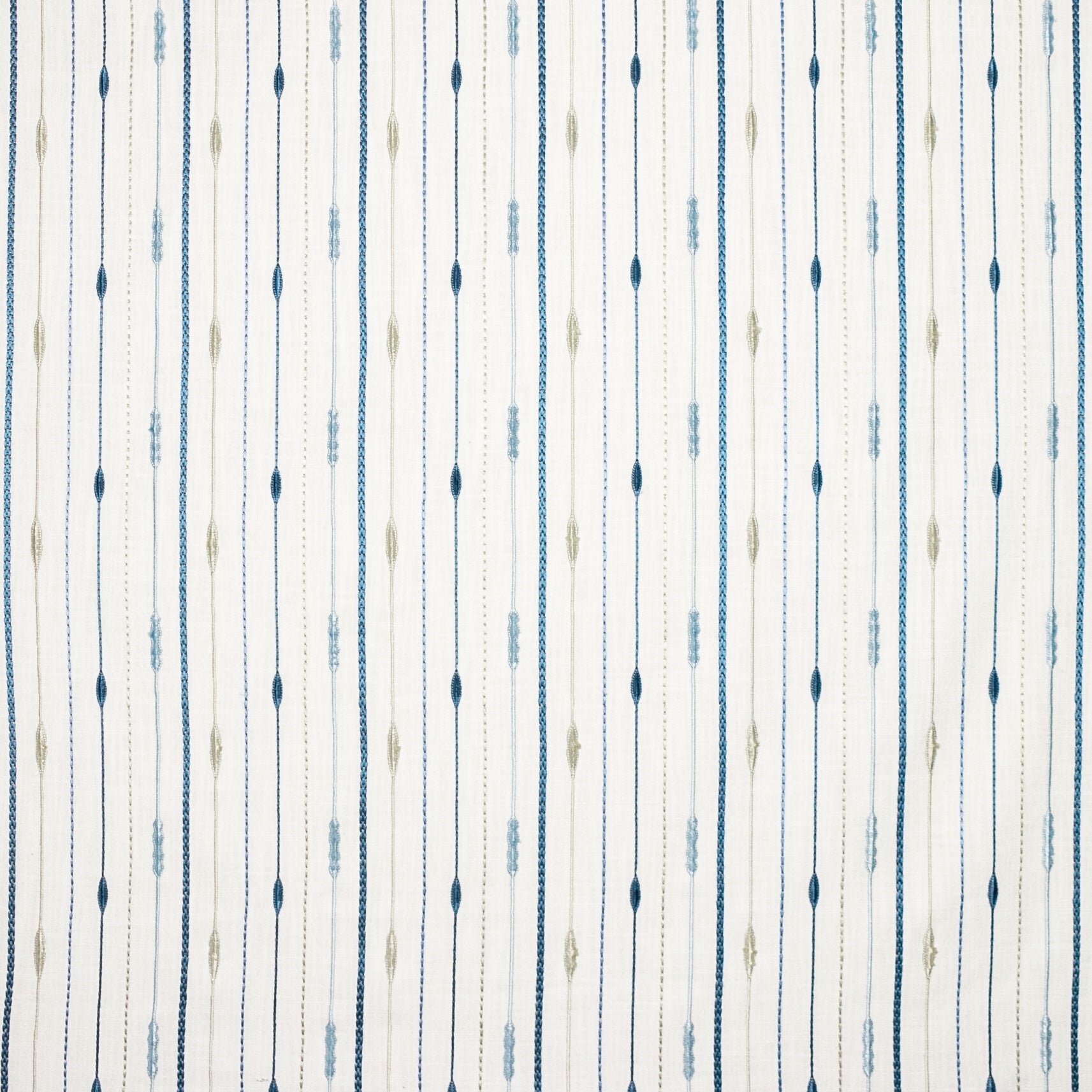 Dictatrice (Kc) - 15 Bluejay