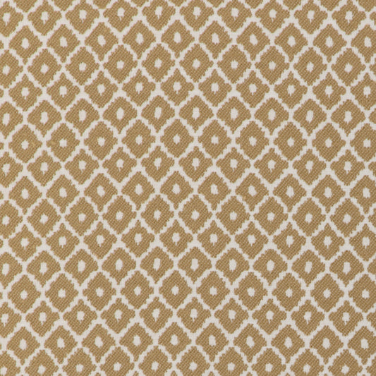 Editer (Kc) - 16 Gold