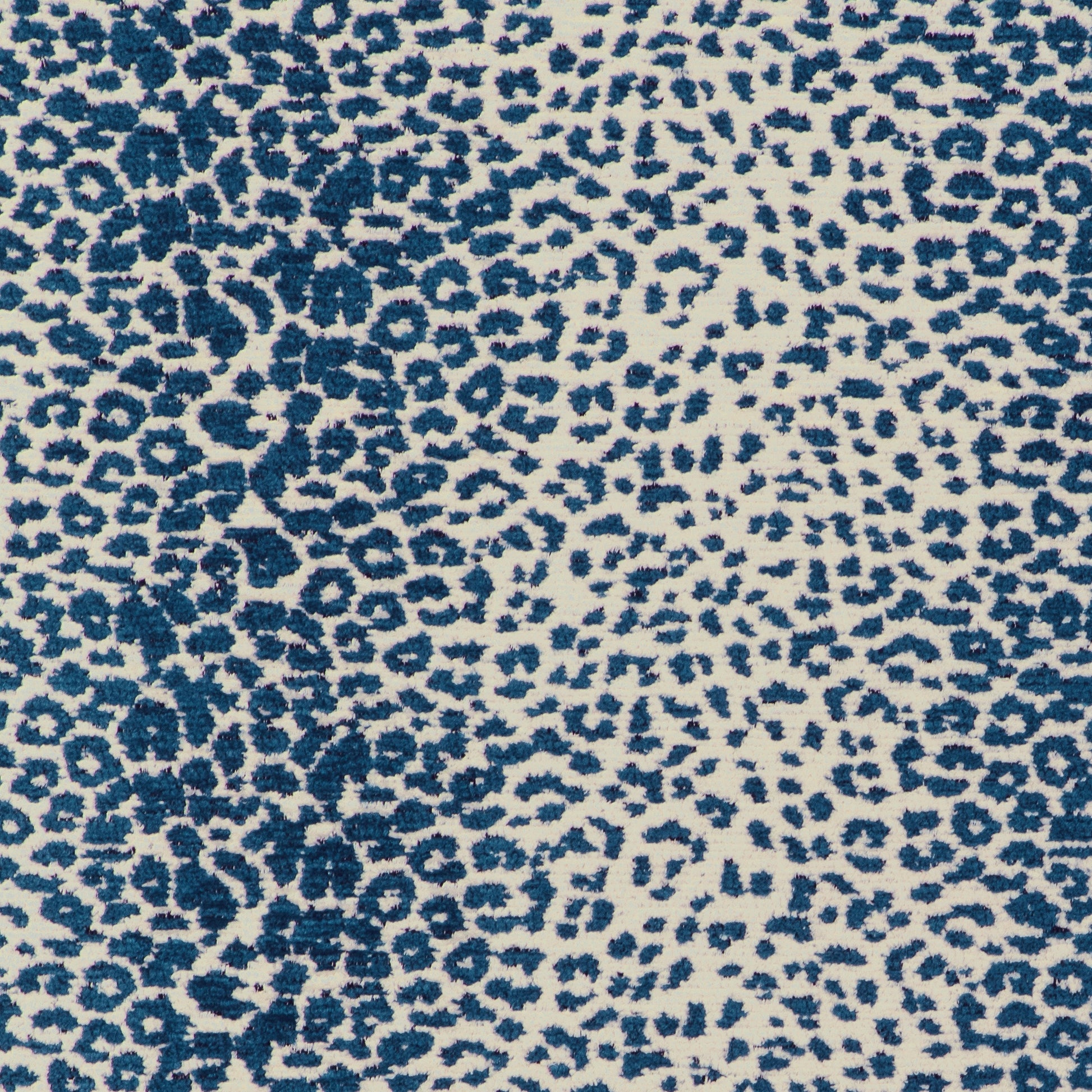 Je Suis (Kc) - 51 Blue