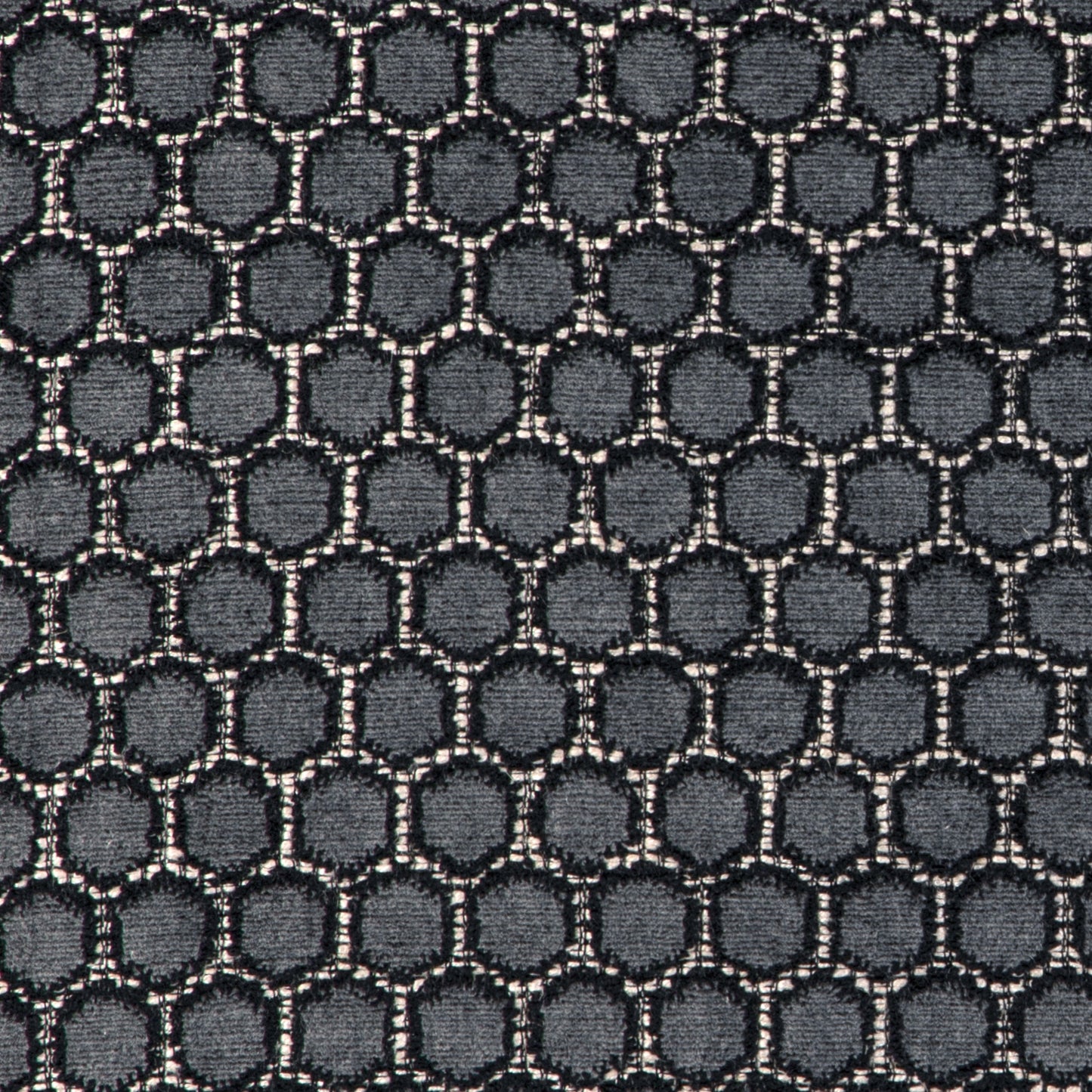 Loiseau (Kc) - 81 Graphite