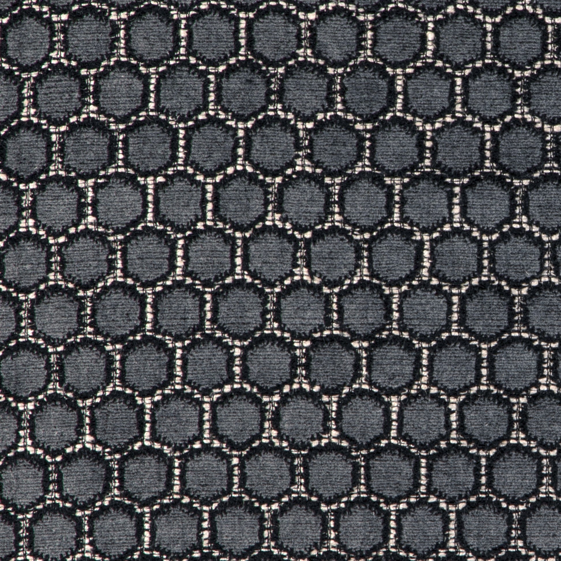 Loiseau (Kc) - 81 Graphite