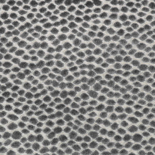 Seulement (Kc) - 11 Grey