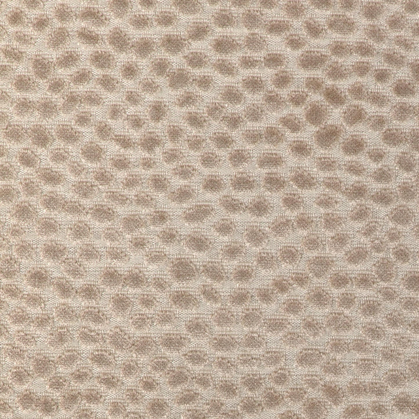 Seulement (Kc) - 16 Beige