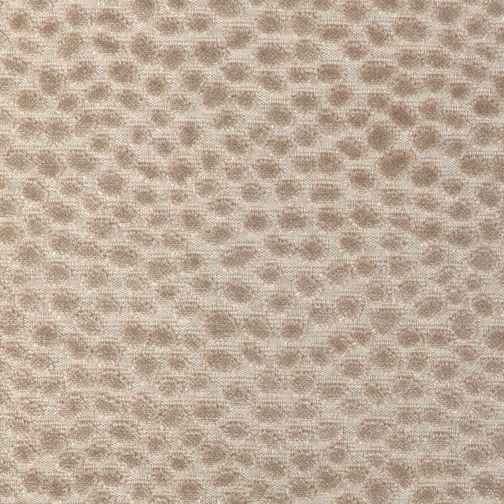 Seulement (Kc) - 16 Beige