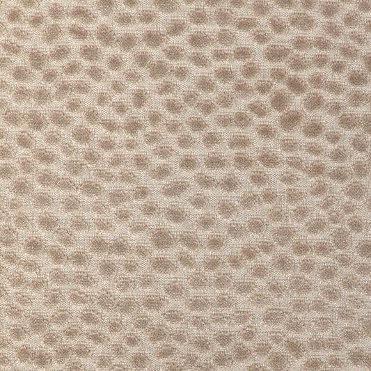 Seulement (Kc) - 16 Beige