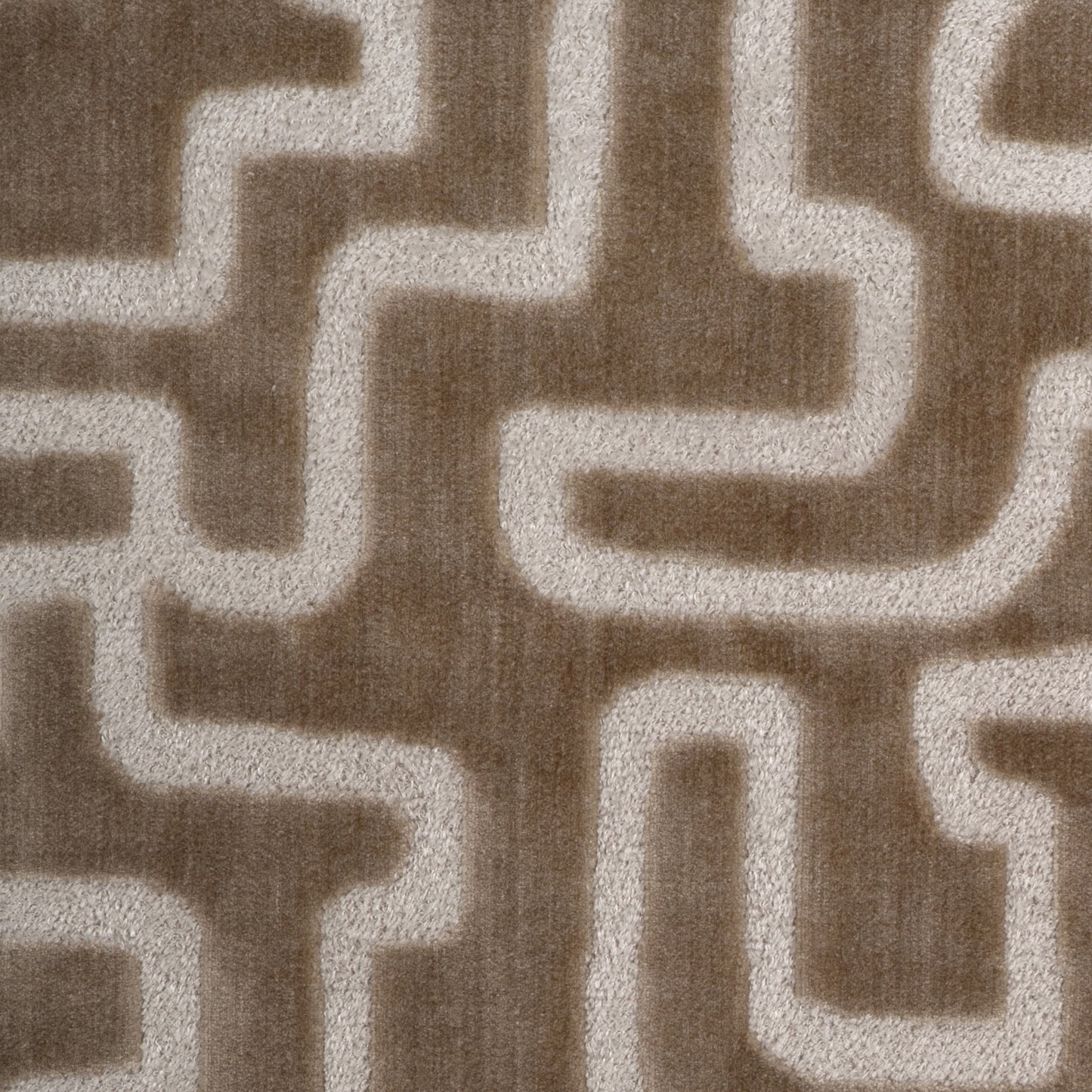 Timide (Kc) - 16 Beige