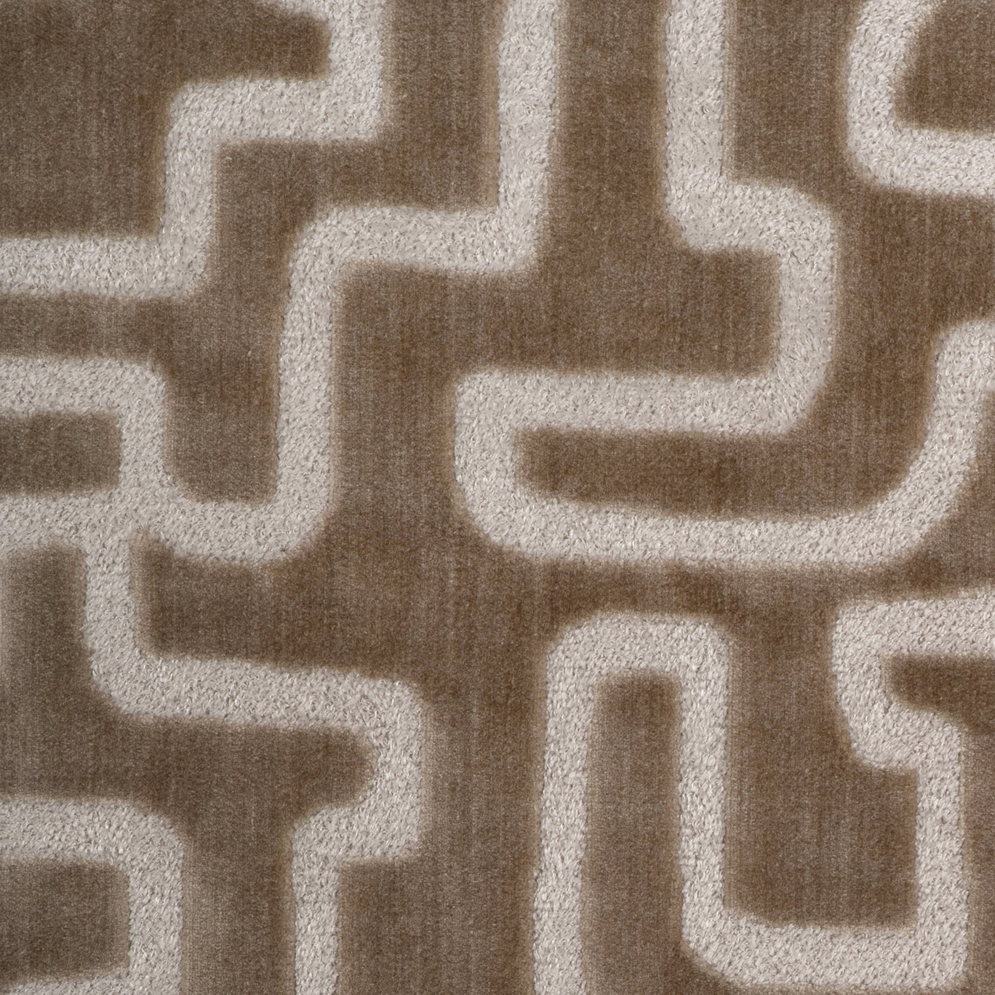 Timide (Kc) - 16 Beige