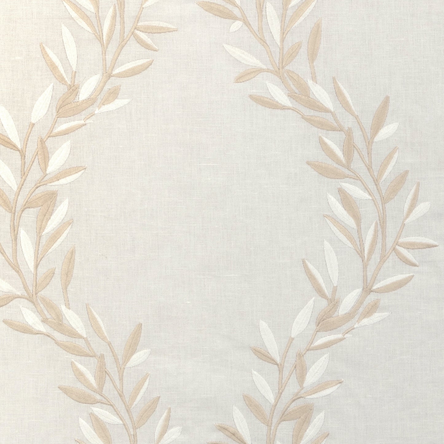 Vigne (Kc) - 161 Ivory