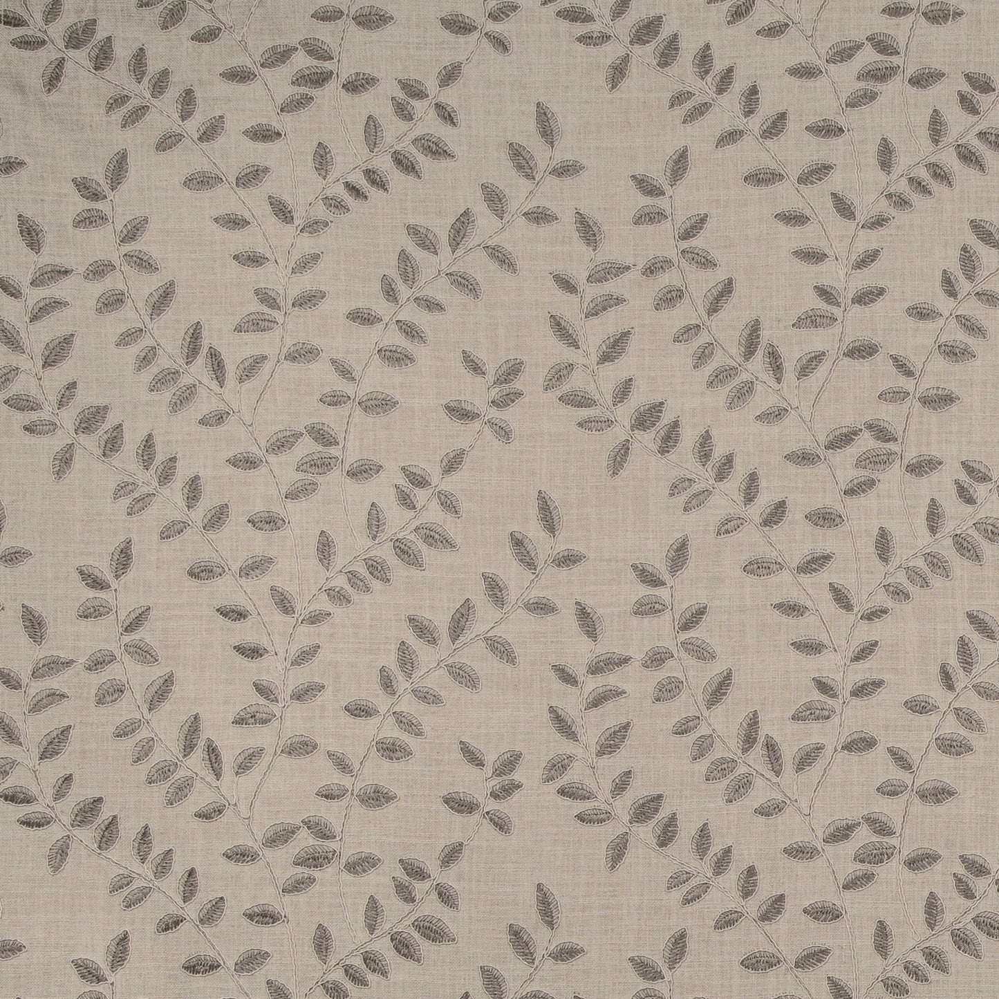 Vinifera (Kc) - 11 Pearl Grey