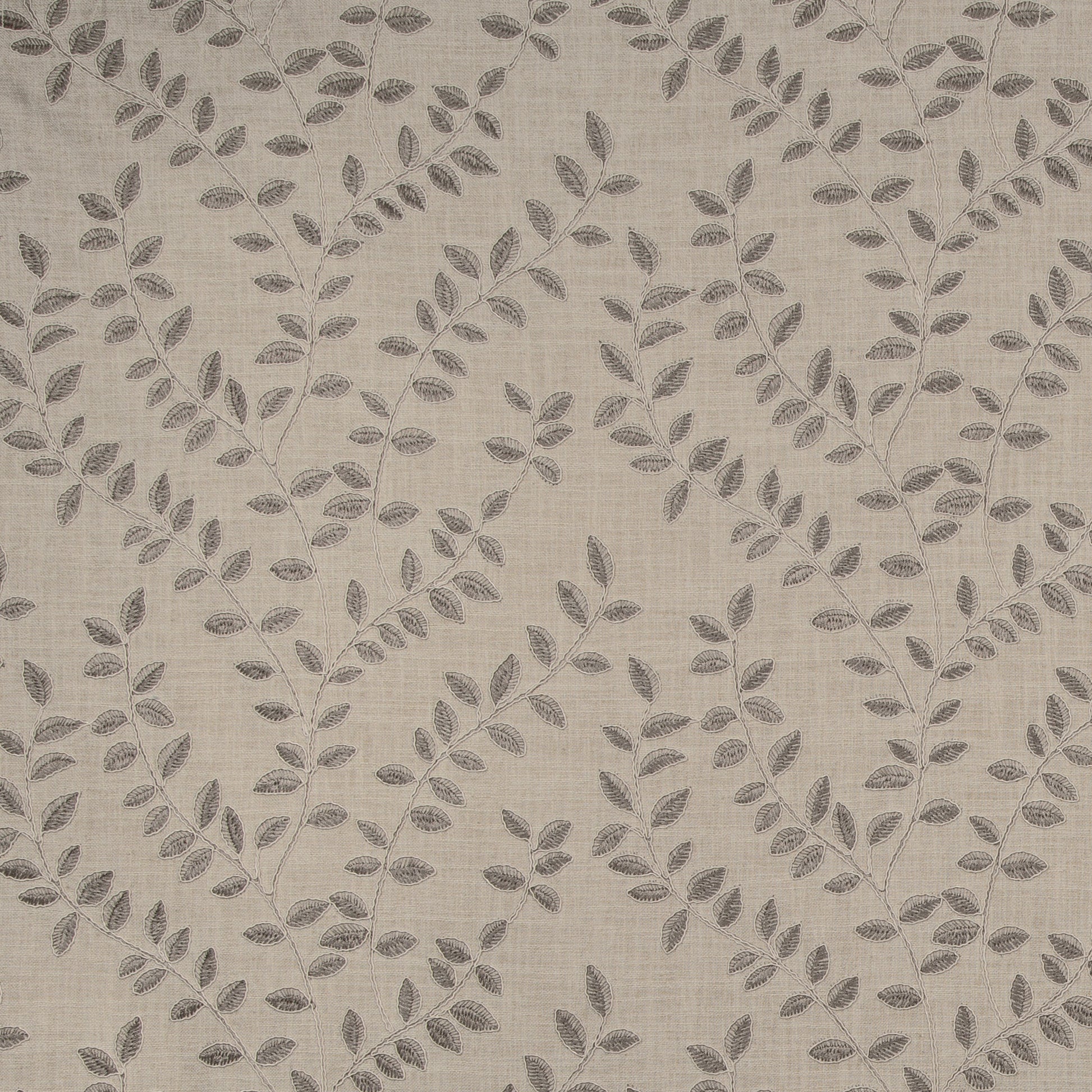 Vinifera (Kc) - 11 Pearl Grey