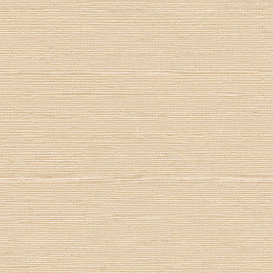 GV0110NW - Grasscloth And Natural Resource Maguey Sisal