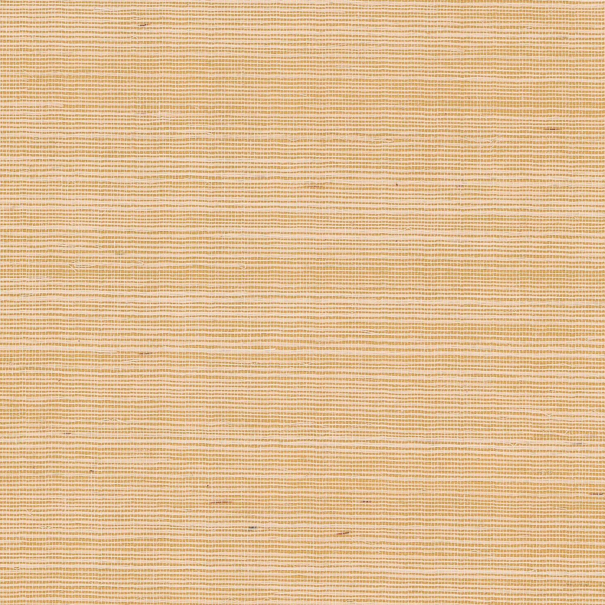 GV0111NW - Grasscloth And Natural Resource Maguey Sisal