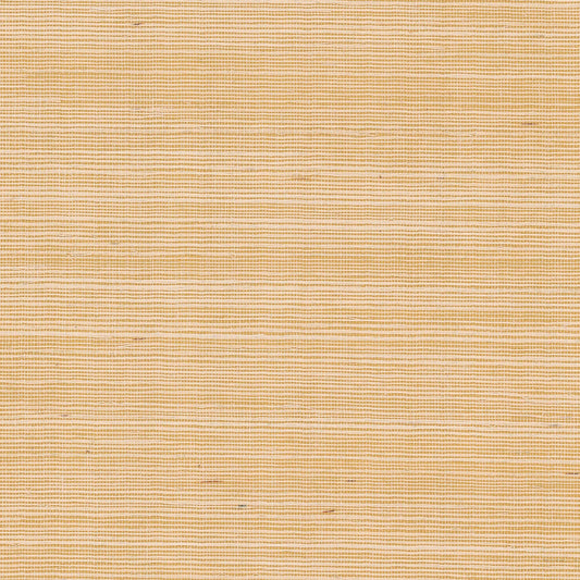 GV0111NW - Grasscloth And Natural Resource Maguey Sisal