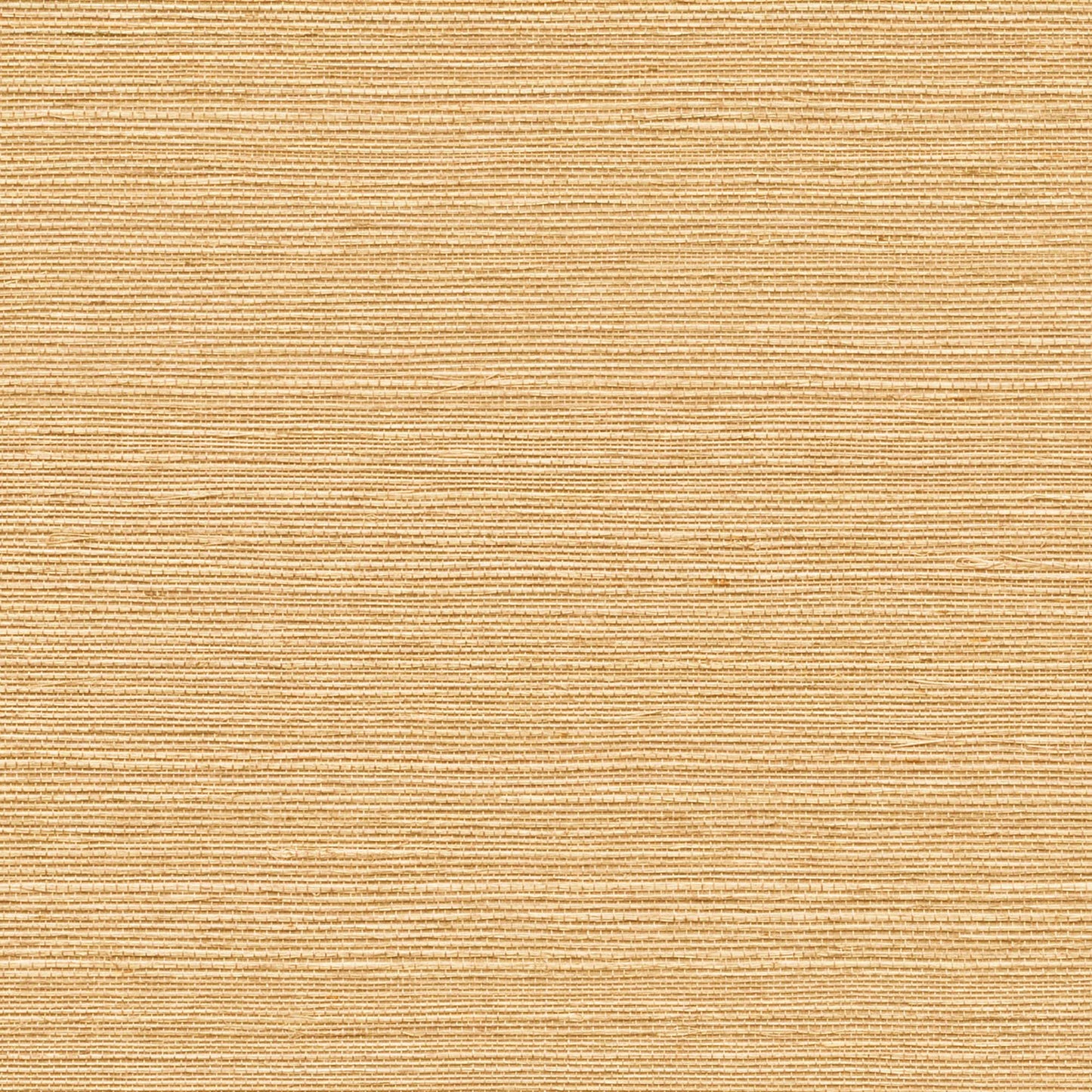 GV0112NW - Grasscloth And Natural Resource Maguey Sisal