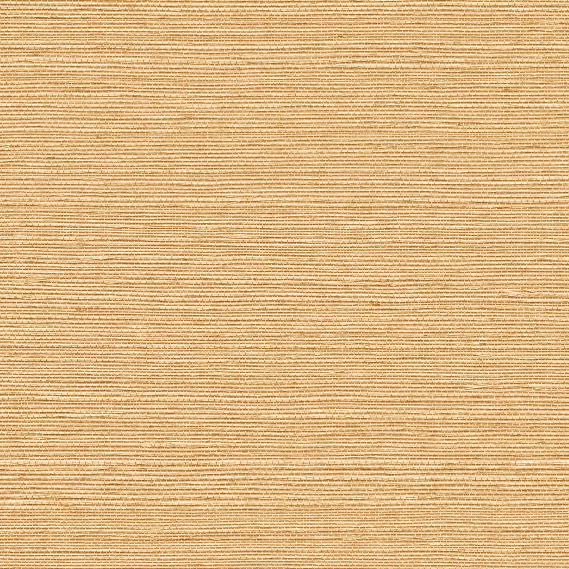 GV0112NW - Grasscloth And Natural Resource Maguey Sisal