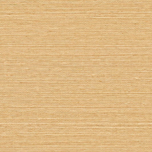 GV0112NW - Grasscloth And Natural Resource Maguey Sisal
