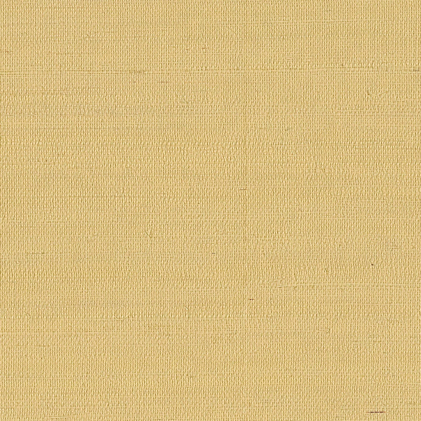 GV0113NW - Grasscloth And Natural Resource Maguey Sisal