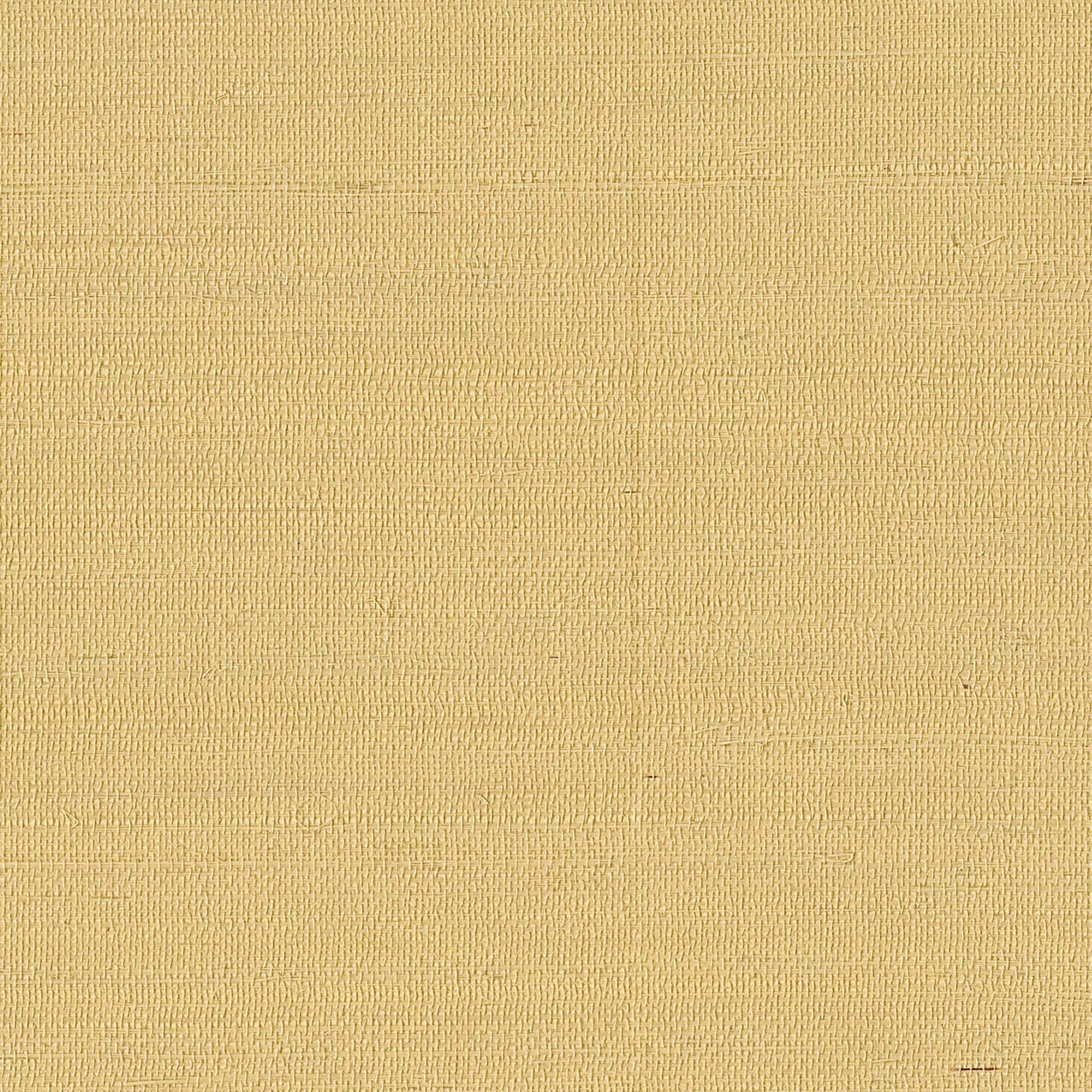 GV0113NW - Grasscloth And Natural Resource Maguey Sisal