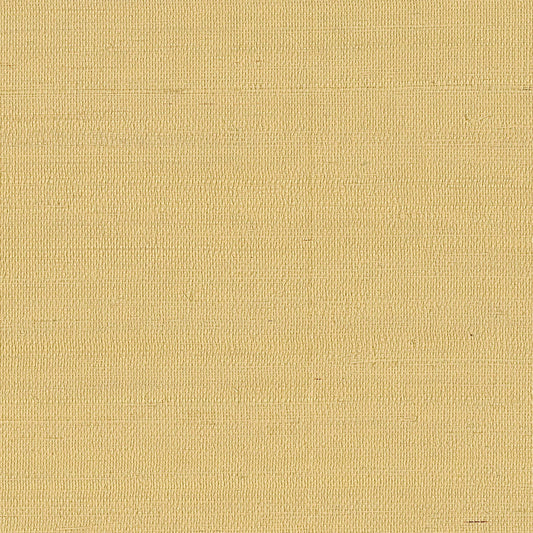GV0113NW - Grasscloth And Natural Resource Maguey Sisal