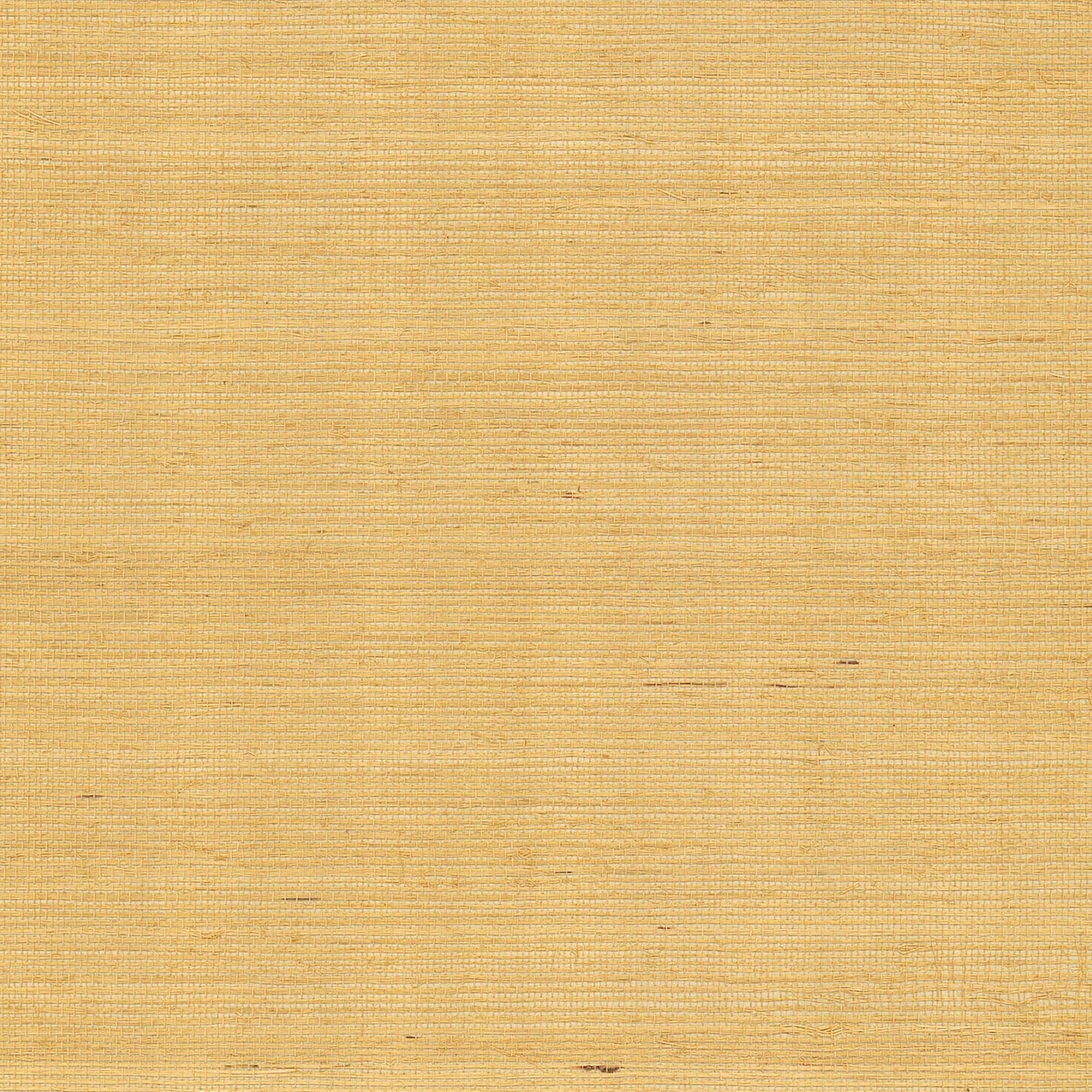 GV0114NW - Grasscloth And Natural Resource Maguey Sisal