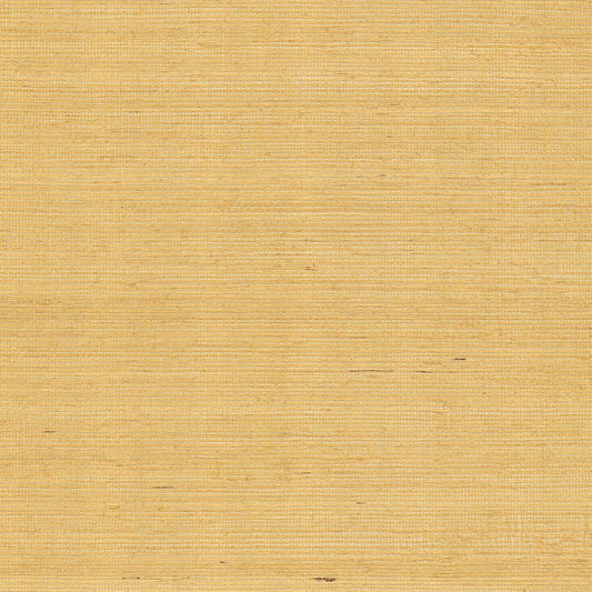 GV0114NW - Grasscloth And Natural Resource Maguey Sisal