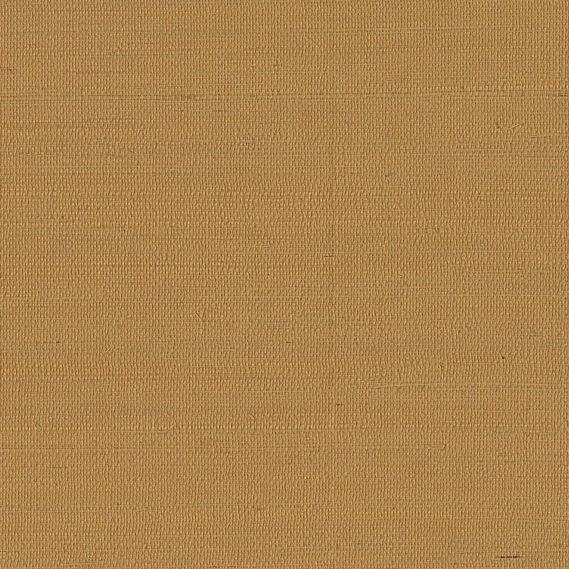 GV0115NW - Grasscloth And Natural Resource Maguey Sisal