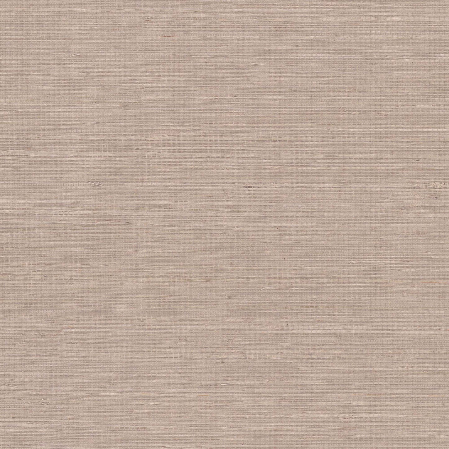 GV0119NW - Grasscloth And Natural Resource Maguey Sisal