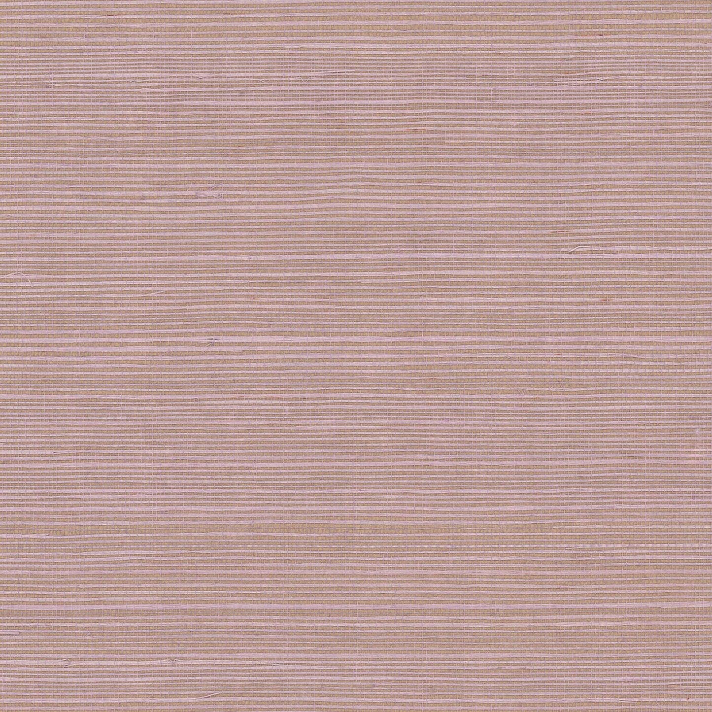 GV0121NW - Grasscloth And Natural Resource Maguey Sisal