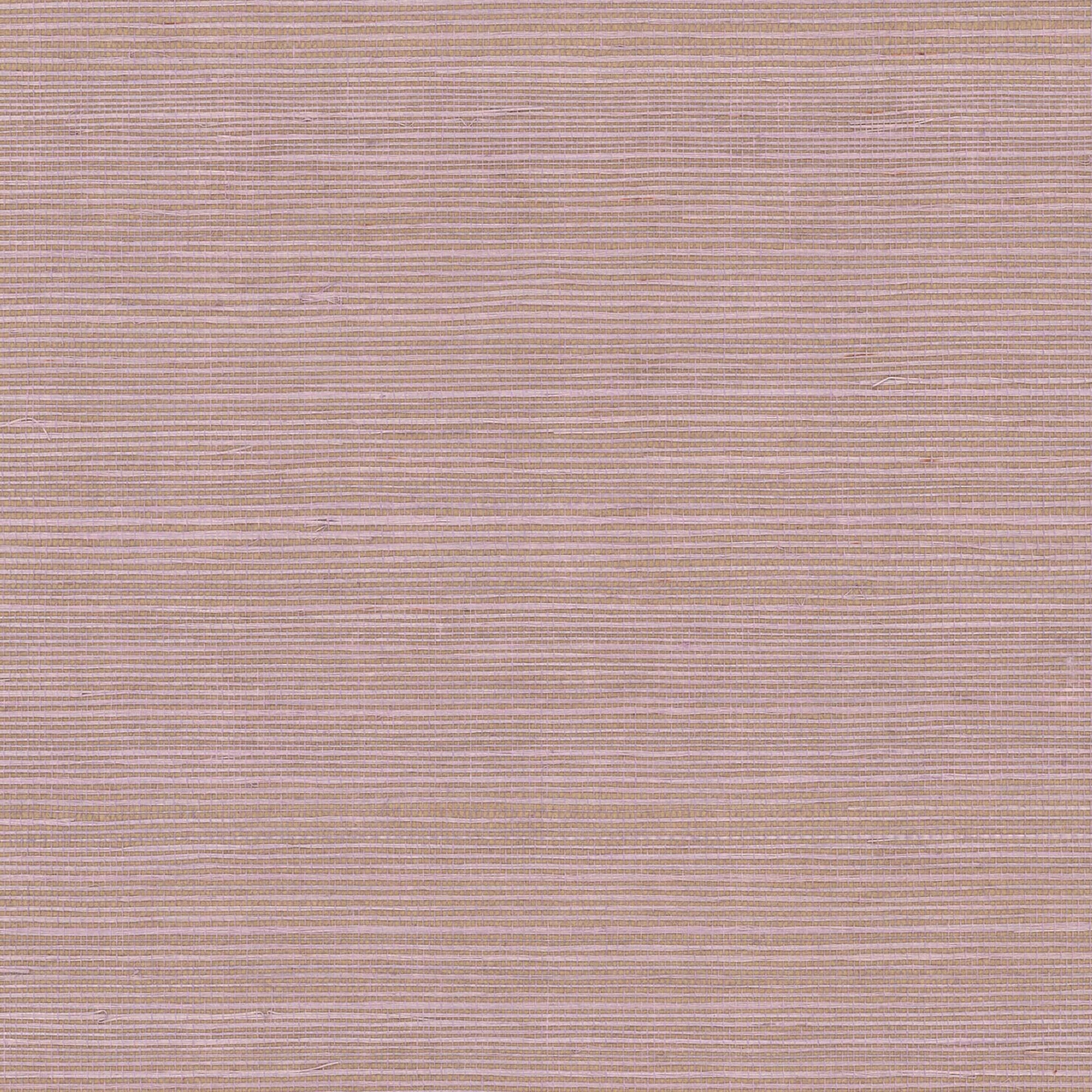 GV0121NW - Grasscloth And Natural Resource Maguey Sisal