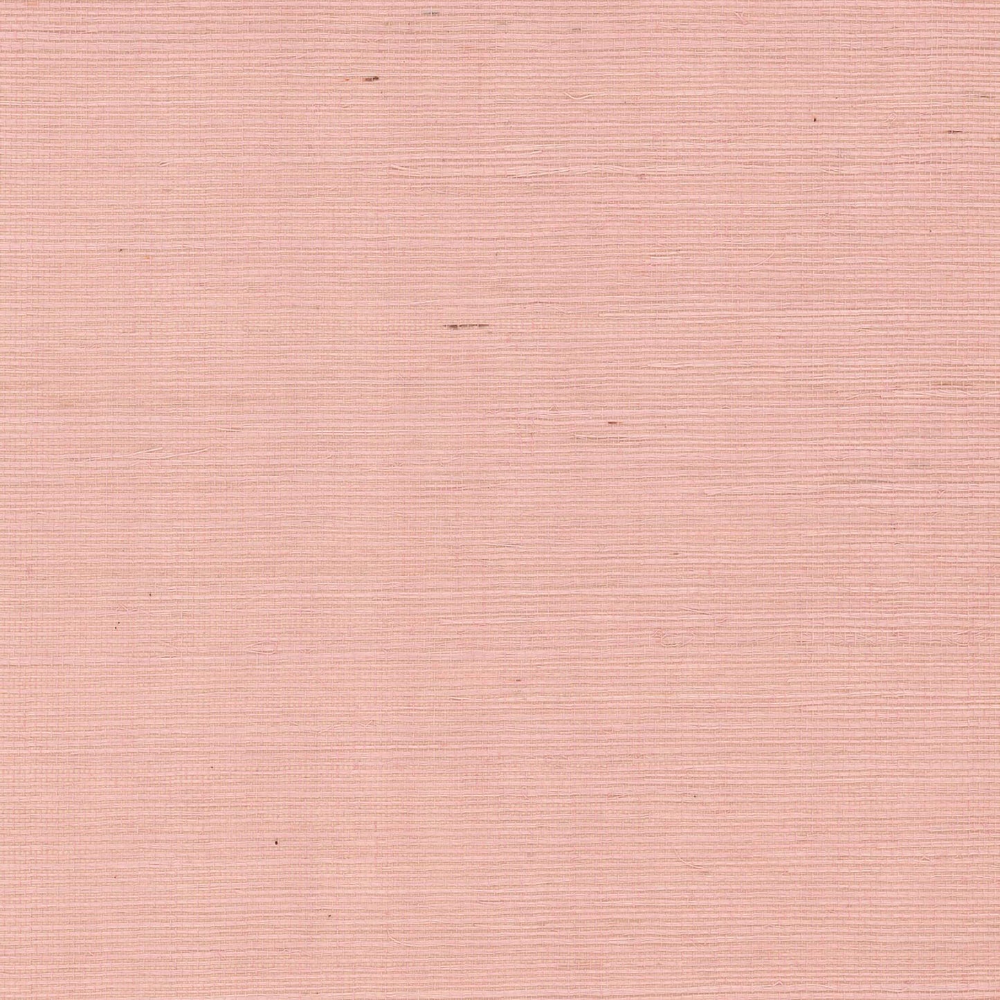 GV0125NW - Grasscloth And Natural Resource Maguey Sisal