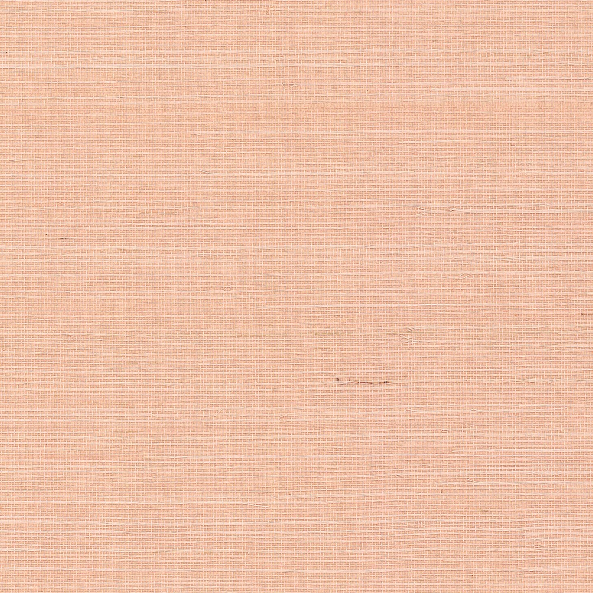 GV0126NW - Grasscloth And Natural Resource Maguey Sisal