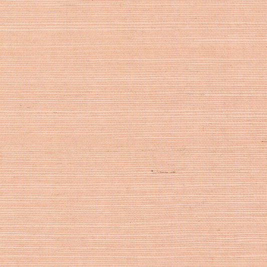GV0126NW - Grasscloth And Natural Resource Maguey Sisal