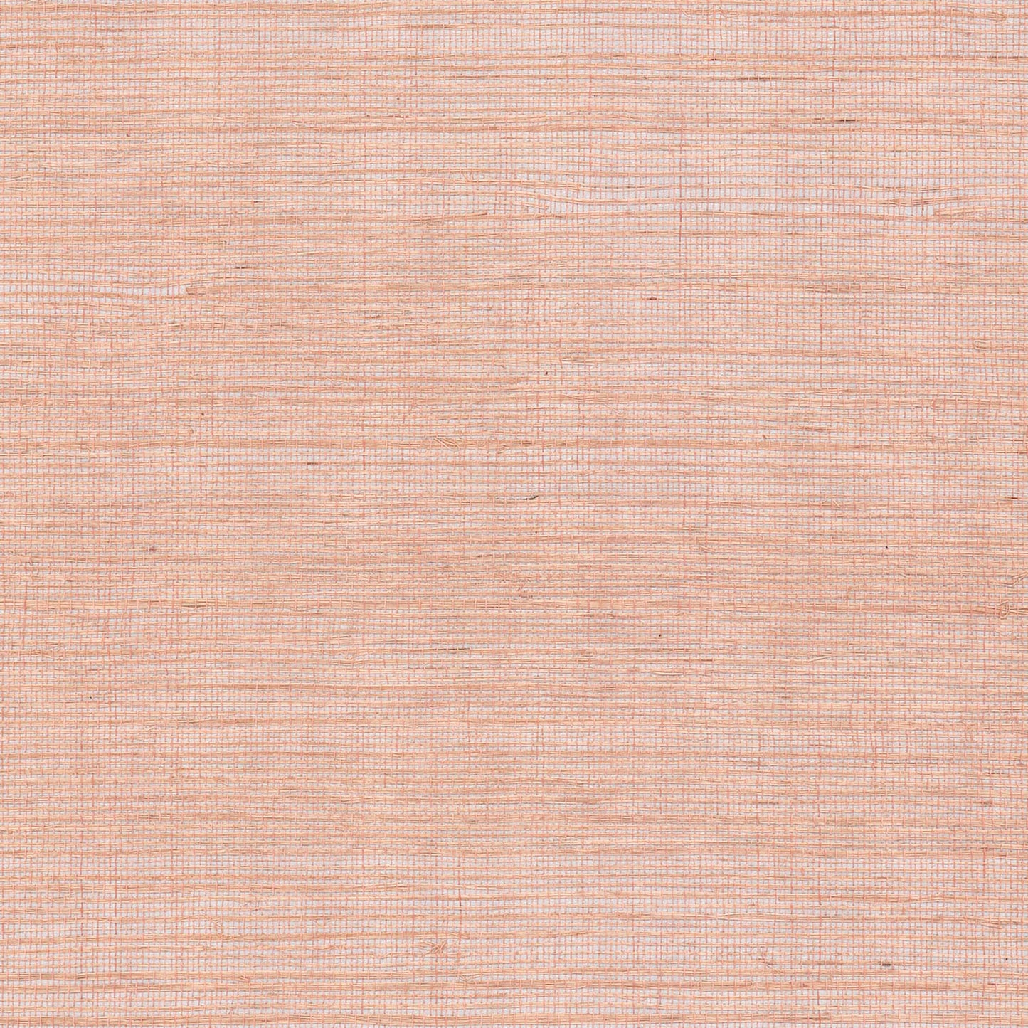 GV0127NW - Grasscloth And Natural Resource Maguey Sisal