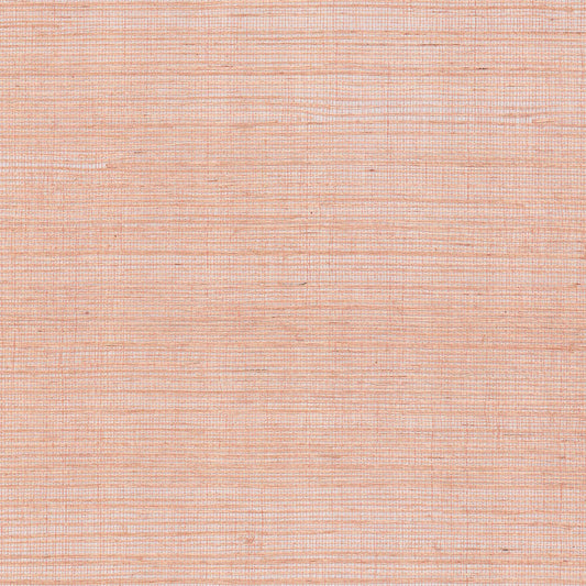 GV0127NW - Grasscloth And Natural Resource Maguey Sisal