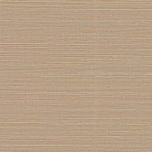 GV0129NW - Grasscloth And Natural Resource Maguey Sisal