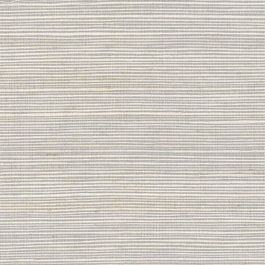GV0133NW - Grasscloth And Natural Resource Maguey Sisal