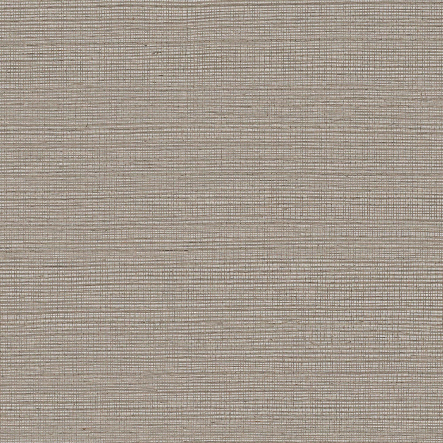 GV0137NW - Grasscloth And Natural Resource Maguey Sisal