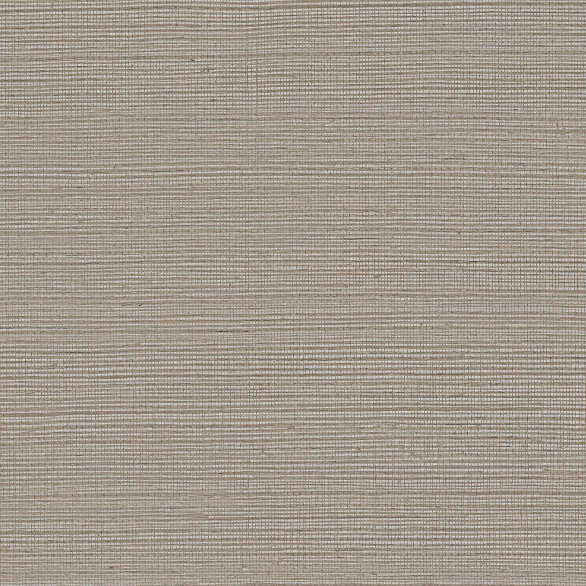 GV0137NW - Grasscloth And Natural Resource Maguey Sisal
