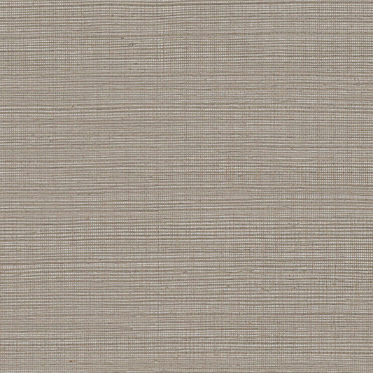 GV0137NW - Grasscloth And Natural Resource Maguey Sisal