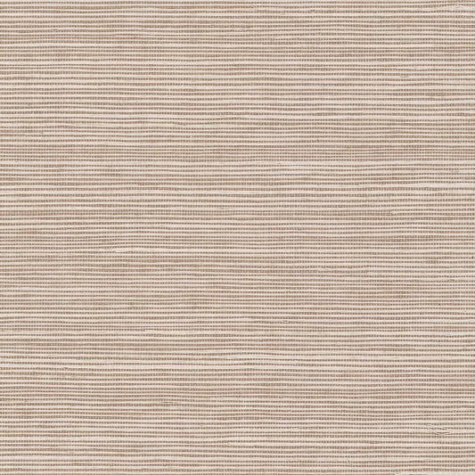 GV0138NW - Grasscloth And Natural Resource Maguey Sisal