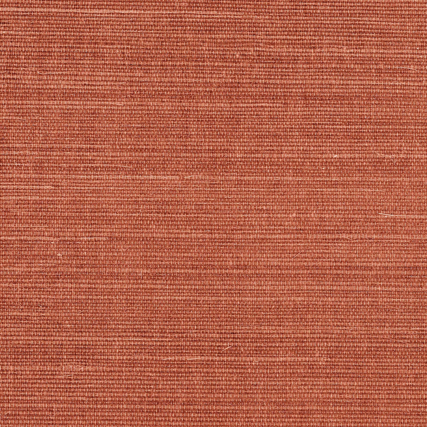 GV0139NW - Grasscloth And Natural Resource Maguey Sisal