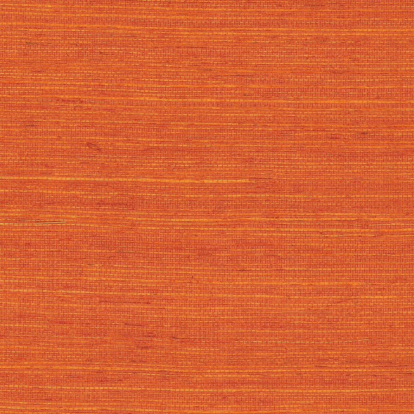 GV0140NW - Grasscloth And Natural Resource Maguey Sisal